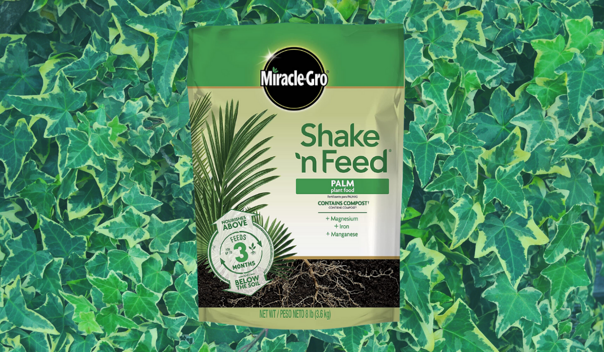 Green bag of Miracle Grow Shake 'n Feed for palms