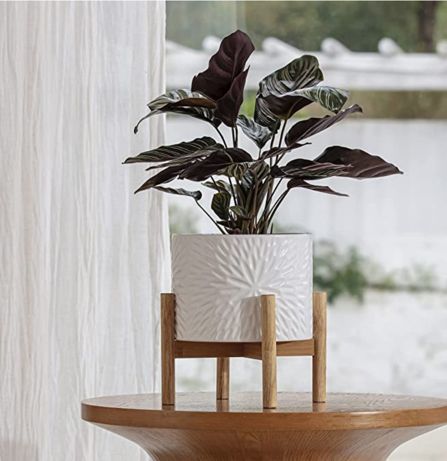 A plant in a ceramic and wood pot.